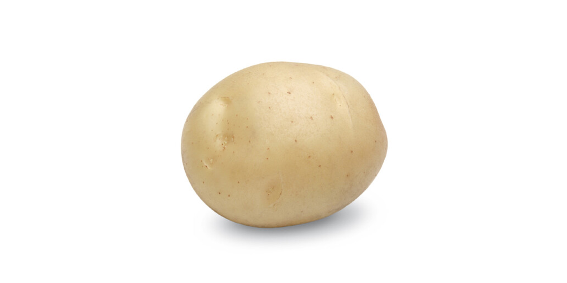 potato⋆︎* Sifra › HZPC